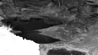 Still 3 from this detection
