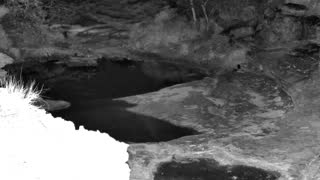 Still 1 from this detection