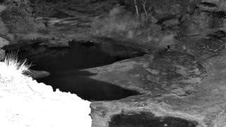Still 1 from this detection