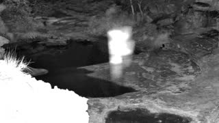 Still 1 from this detection