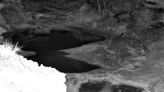 Still 2 from this detection