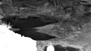 Still 3 from this detection
