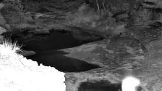 Still 1 from this detection