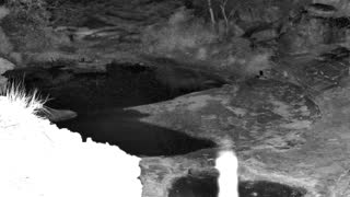 Still 1 from this detection