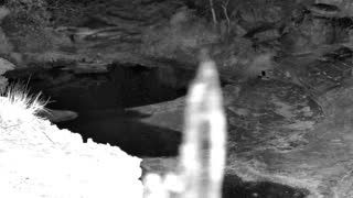 Still 1 from this detection