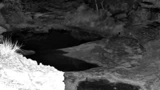 Still 1 from this detection