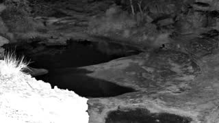 Still 2 from this detection