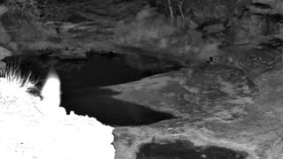 Still 3 from this detection