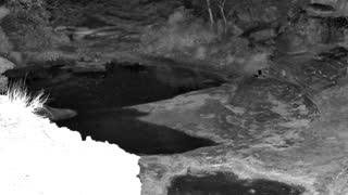 Still 1 from this detection