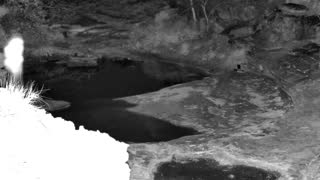 Still 1 from this detection