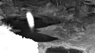 Still 3 from this detection