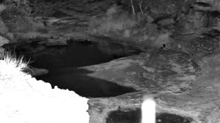 Still 1 from this detection