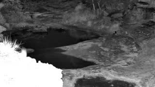 Still 2 from this detection