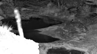 Still 1 from this detection