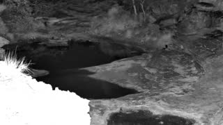 Still 3 from this detection