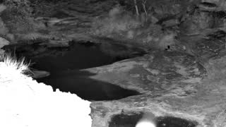 Still 2 from this detection