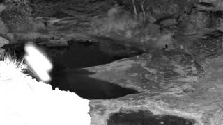 Still 3 from this detection