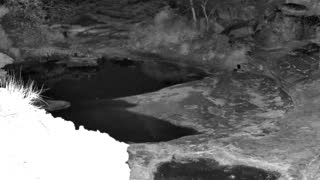 Still 2 from this detection