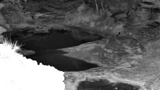 Still 3 from this detection