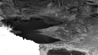Still 3 from this detection