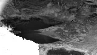 Still 1 from this detection