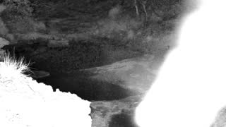 Still 1 from this detection