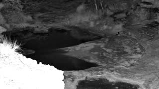 Still 2 from this detection