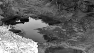 Still 1 from this detection