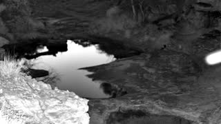 Still 2 from this detection