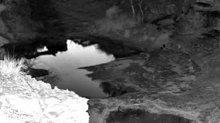 Still 2 from this detection