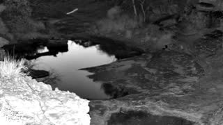 Still 3 from this detection
