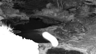 Still 1 from this detection