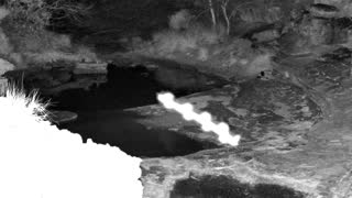 Still 1 from this detection