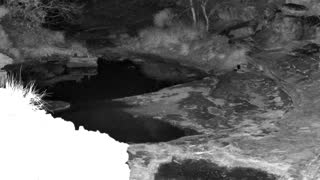 Still 3 from this detection
