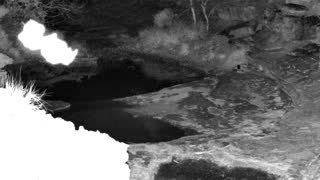 Still 2 from this detection