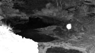 Still 1 from this detection