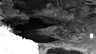 Still 3 from this detection
