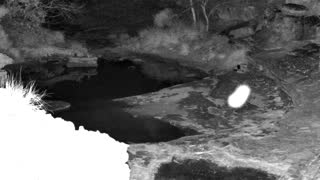 Still 1 from this detection