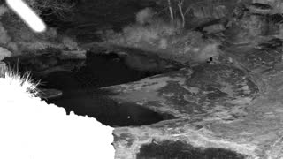 Still 3 from this detection