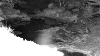 Still 1 from this detection