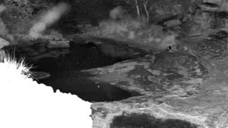 Still 2 from this detection