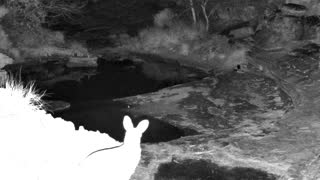 Still 2 from this detection