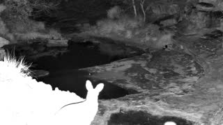 Still 3 from this detection