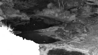 Still 3 from this detection