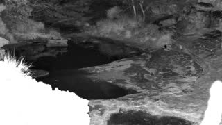 Still 2 from this detection