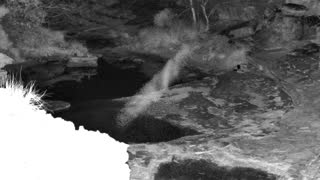 Still 1 from this detection