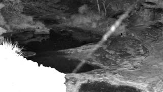 Still 2 from this detection