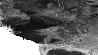 Still 1 from this detection