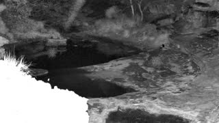 Still 2 from this detection