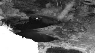 Still 3 from this detection
